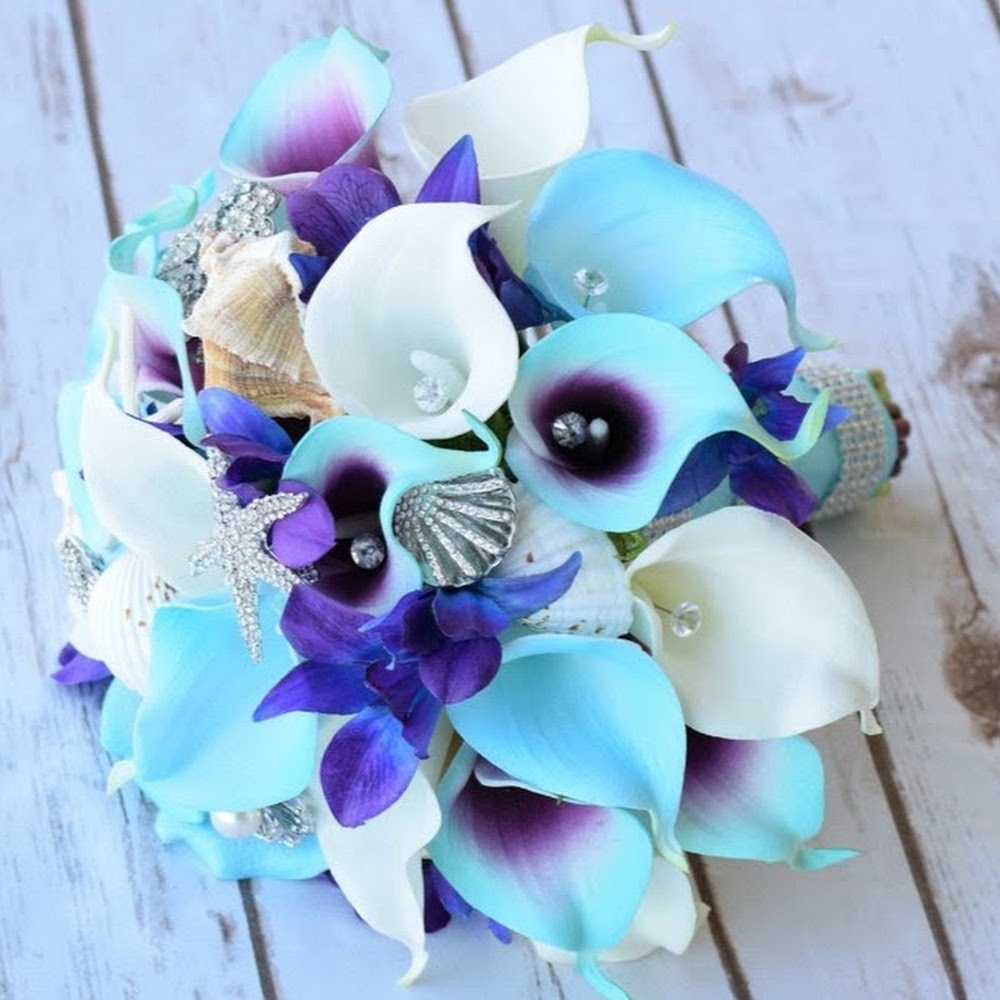 Meet your Posher, Sheila